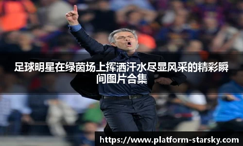 足球明星在绿茵场上挥洒汗水尽显风采的精彩瞬间图片合集